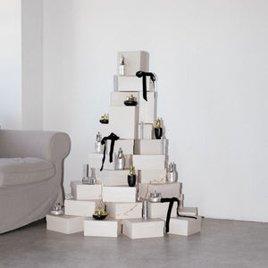 Dárkové balení HAIRPLUS MAX