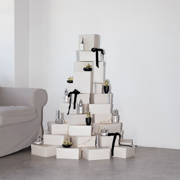 Dárkové balení HAIRPLUS MAX